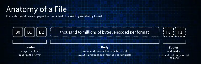 Anatomy of a File