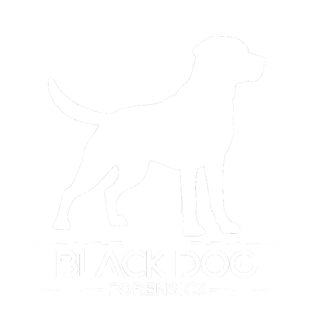 Black Dog