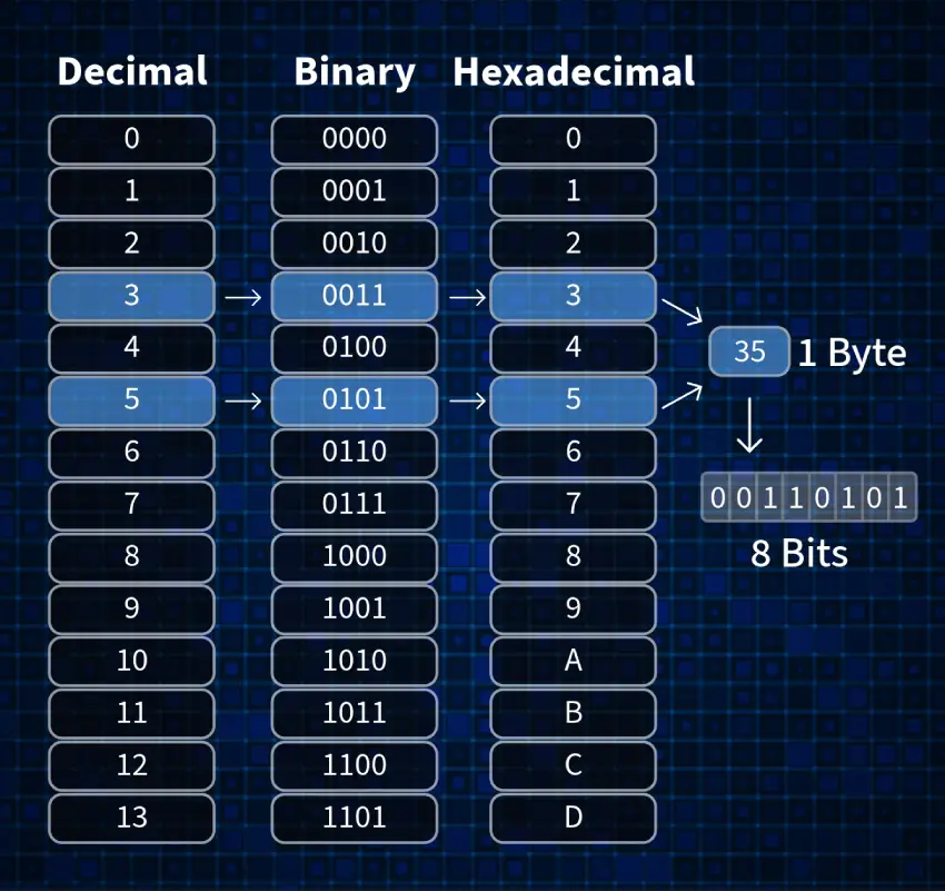 decimal, binary, and hexadecimal number systems