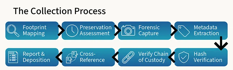  The Collection Process